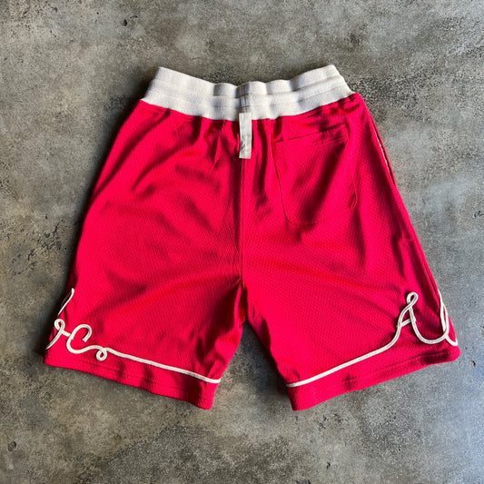 Advisory Board Crystals Shorts