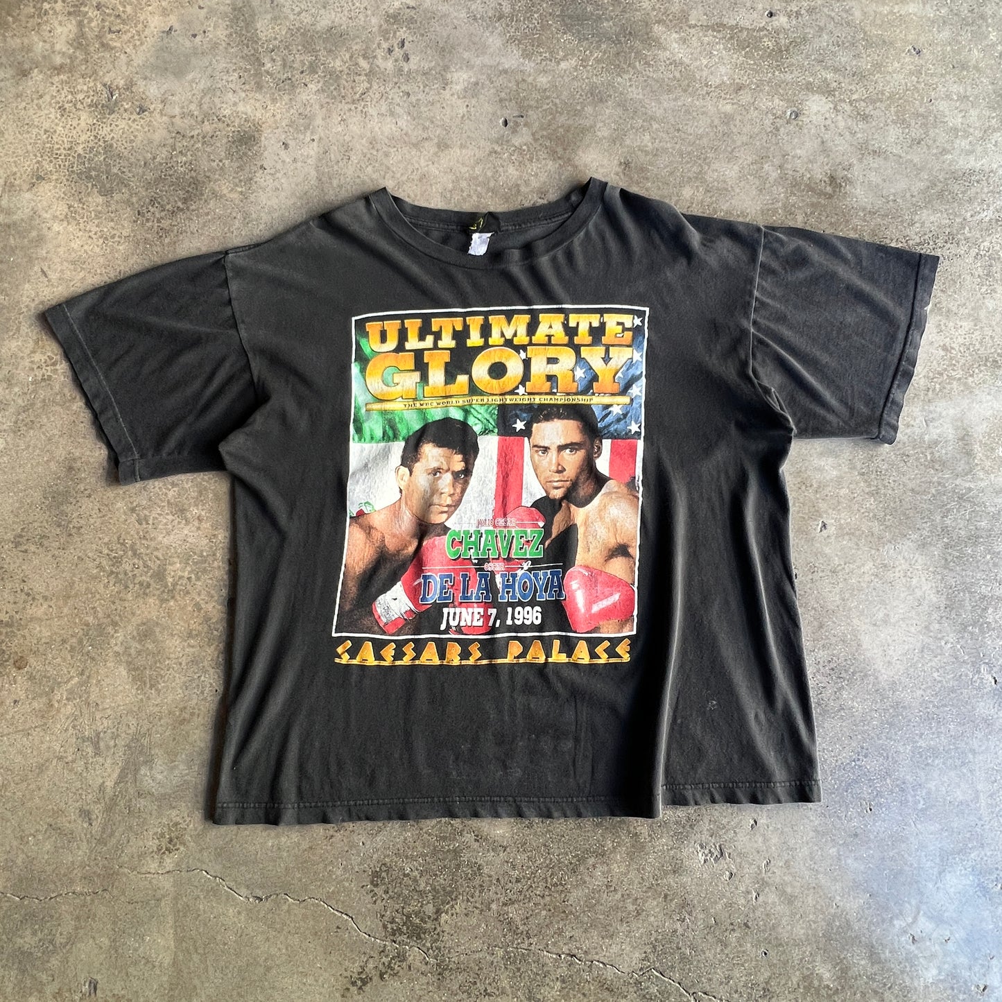 1996 Chavez vs De la Hoya