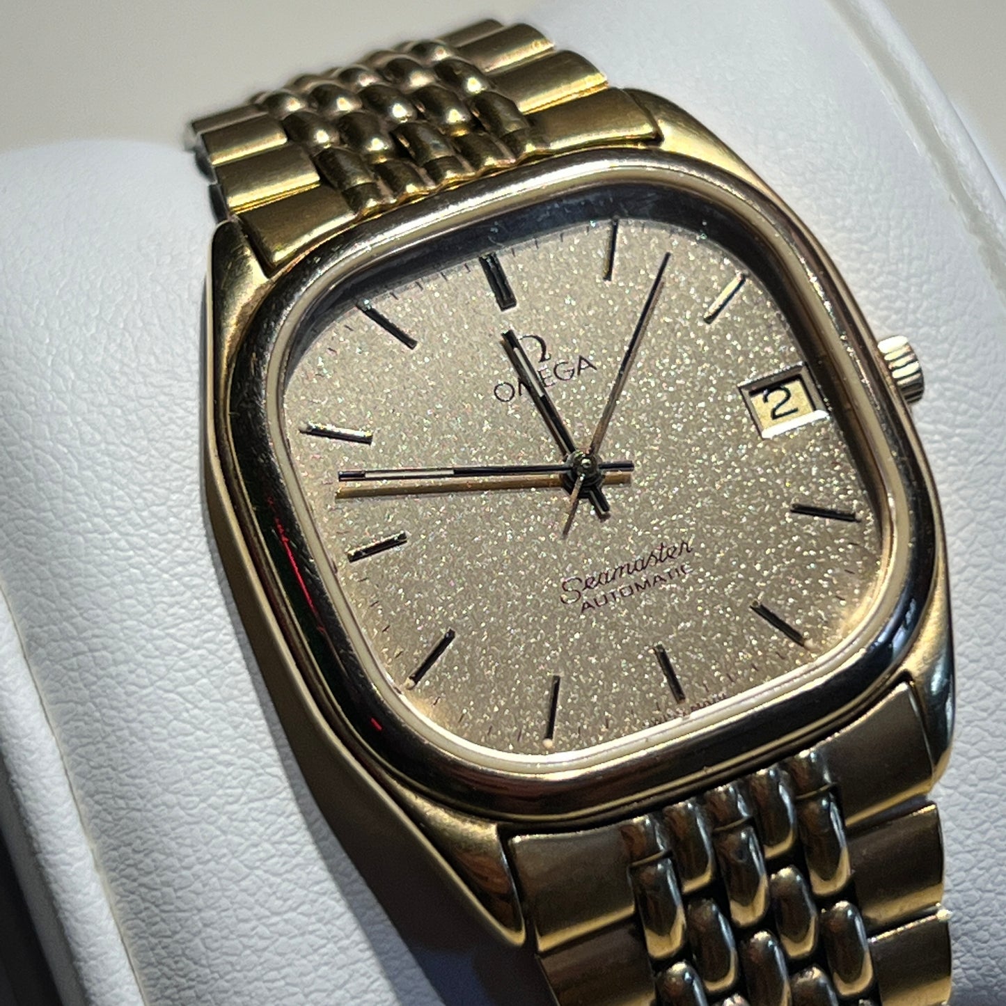 Seamaster 1980 Stardust Dial