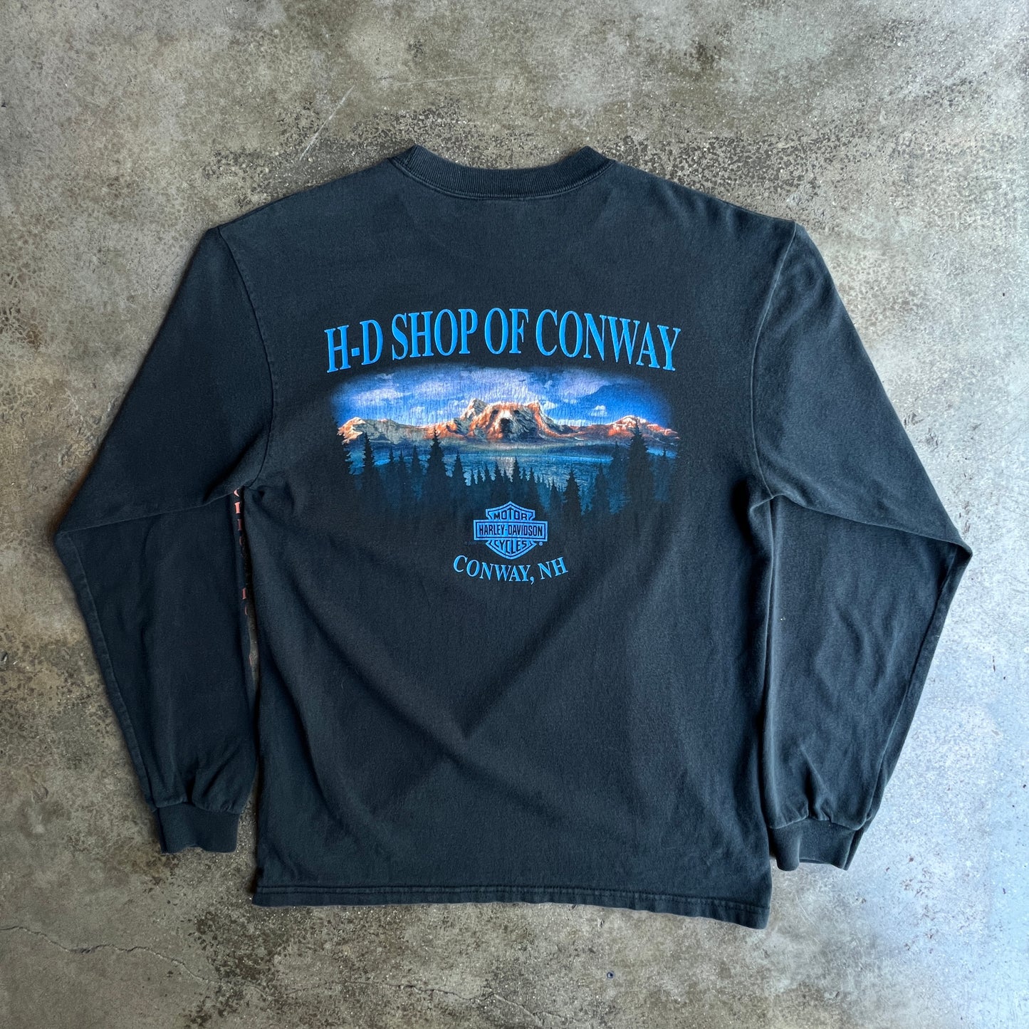 Harley Davidson 00’ Conway