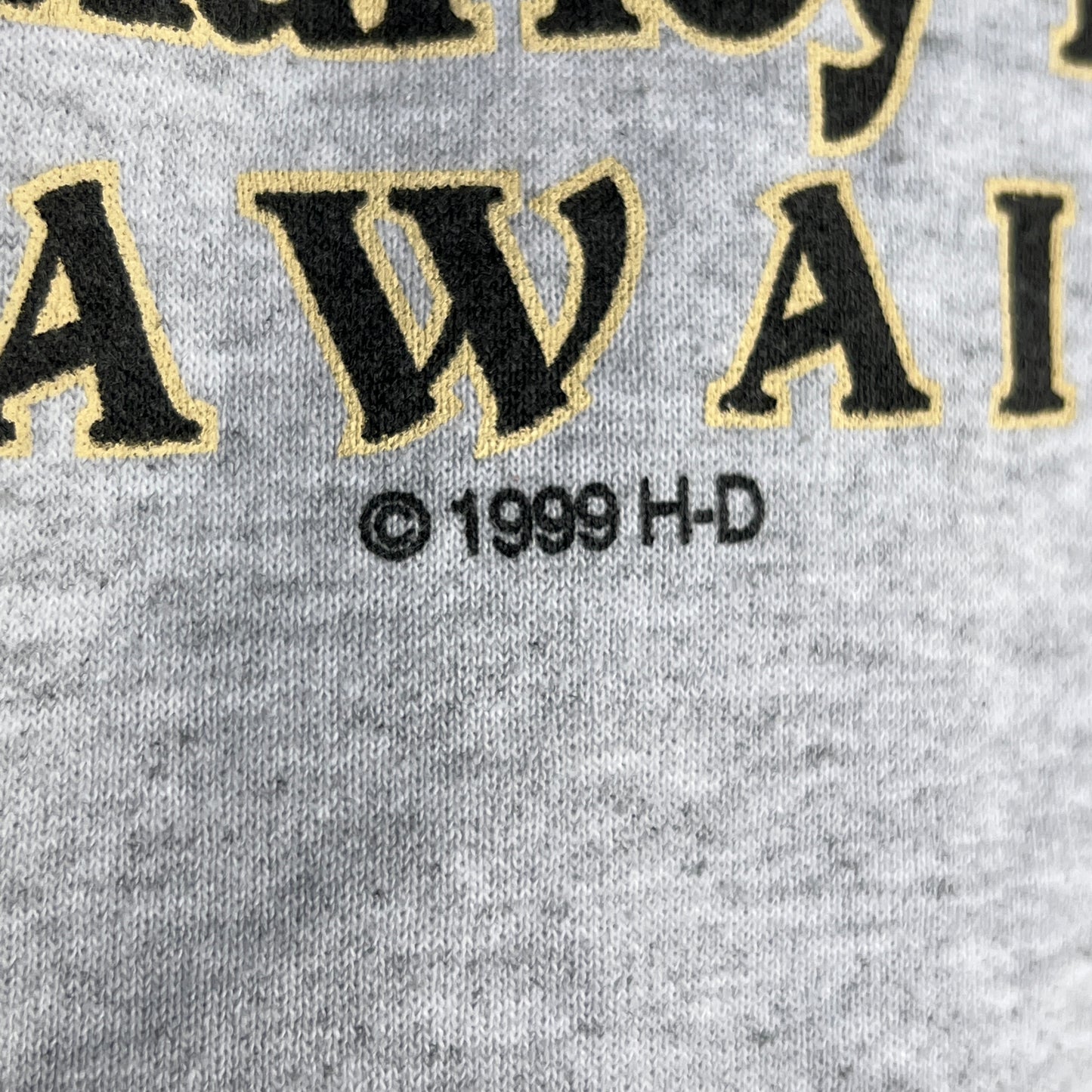 1999 Harley Davidson Zip Hoodie