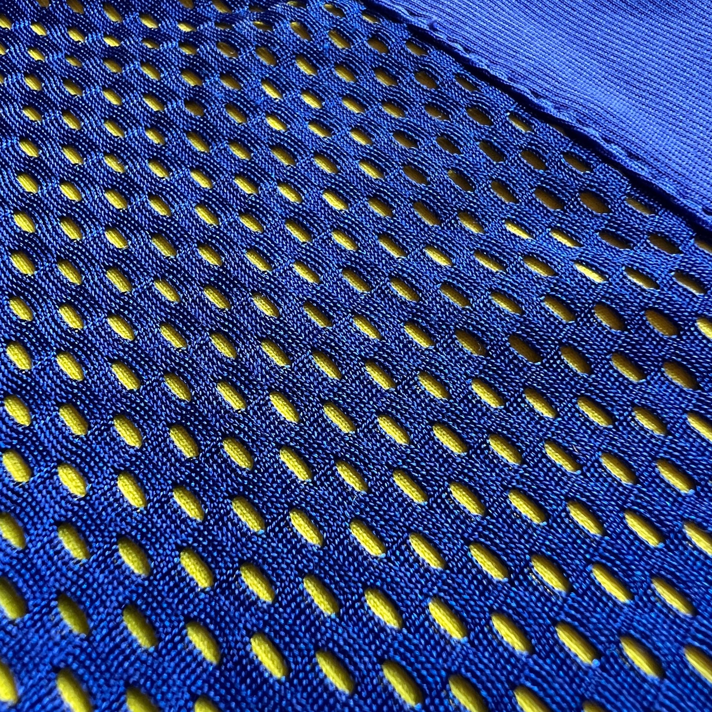 Sweden SFF Jersey