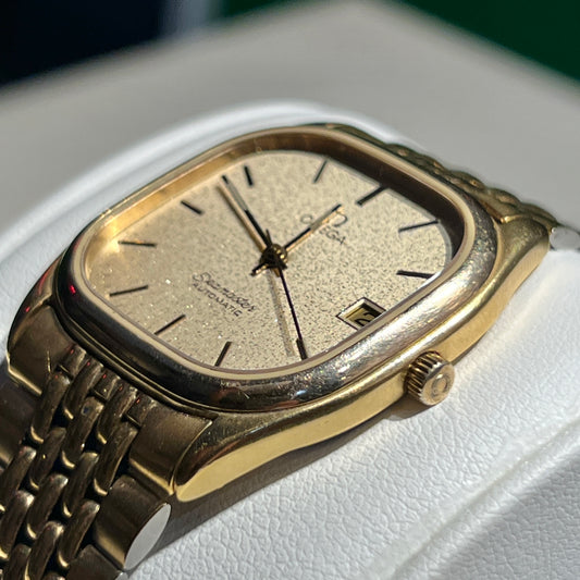 Seamaster 1980 Stardust Dial