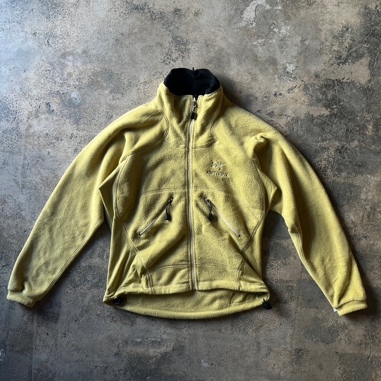 Arteryx Fleece Polartec Vintage