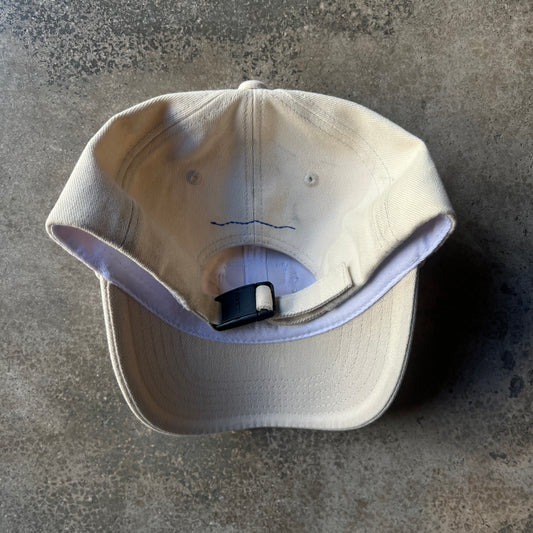Ader Error Cap