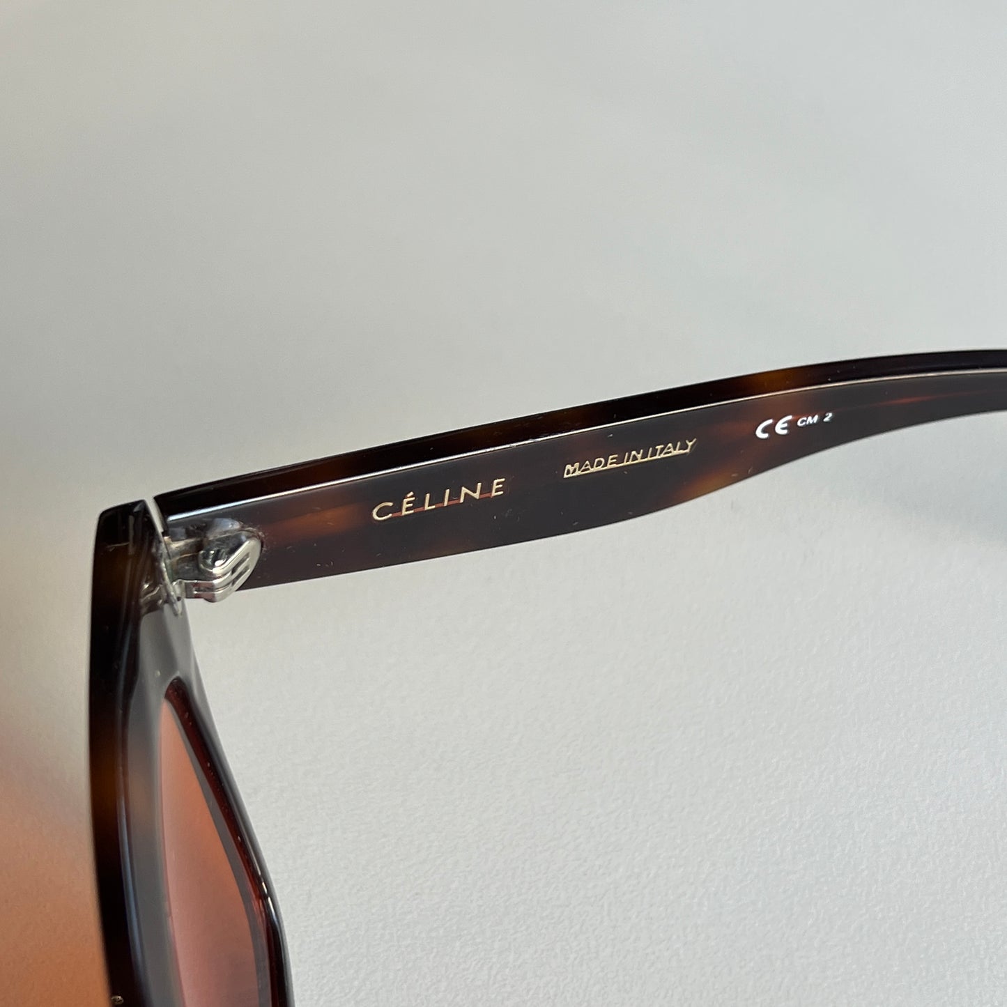 Céline Luca Tortoise