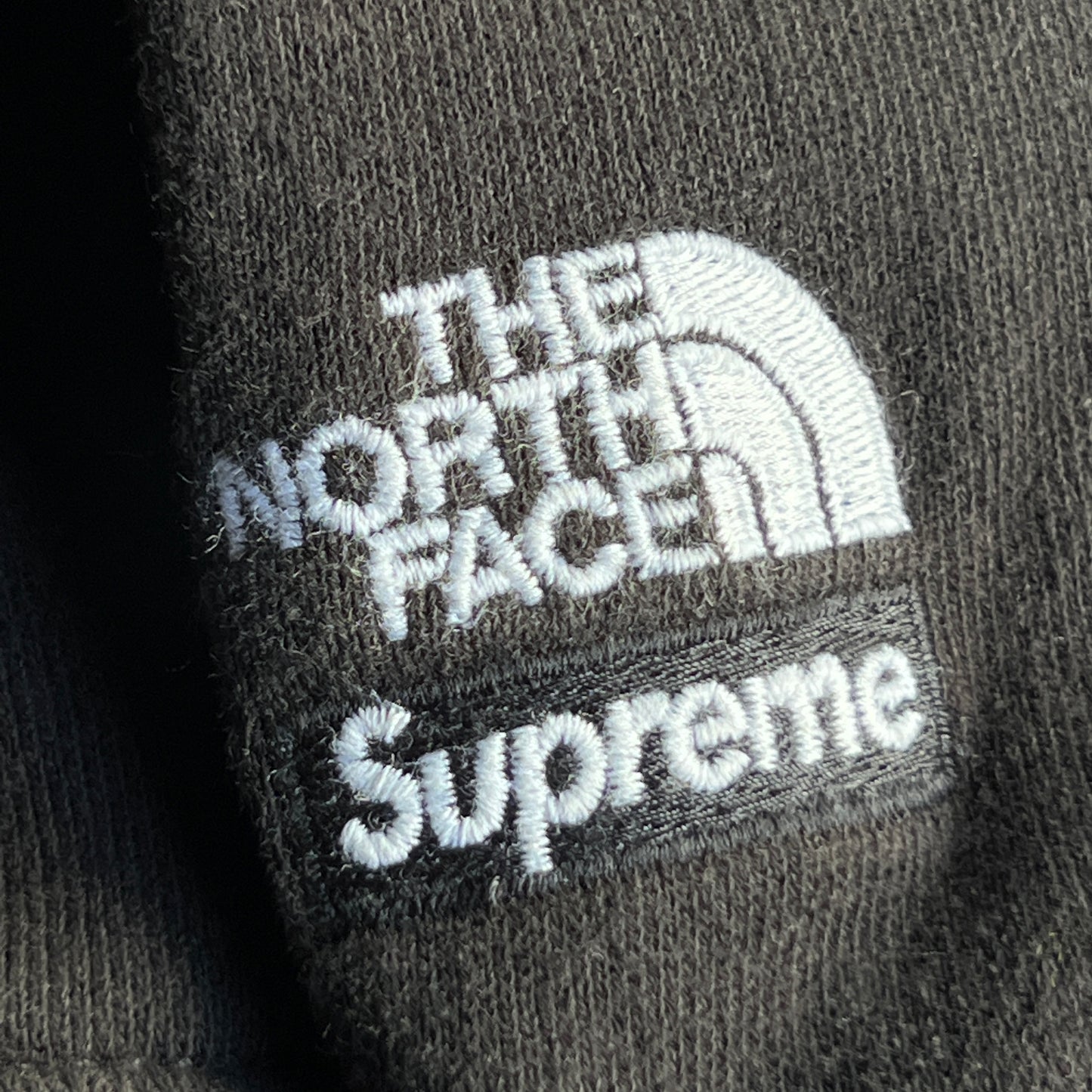 Supreme x The North Face Lenticular Mountains Hoodie