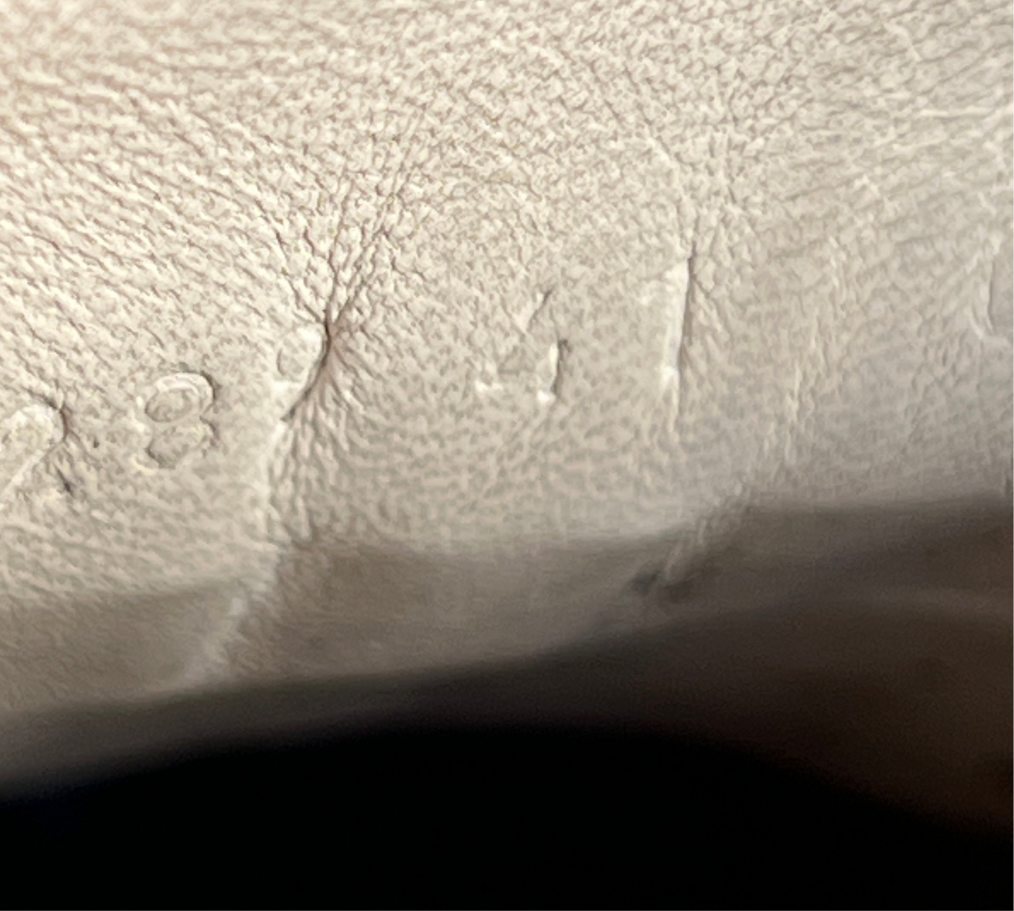 Leather Low Tops (Worn)