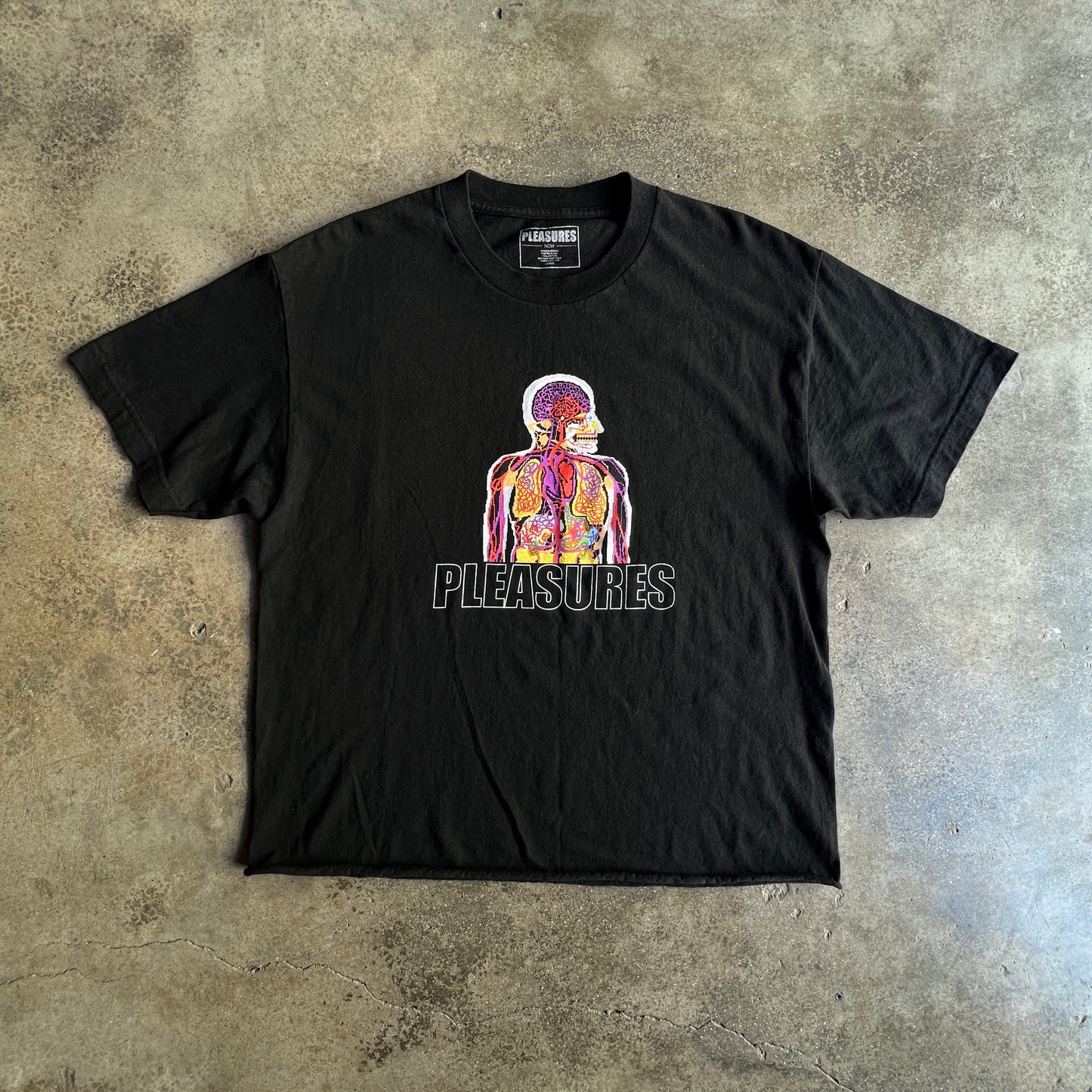 Pleasures Anatomy Shirt