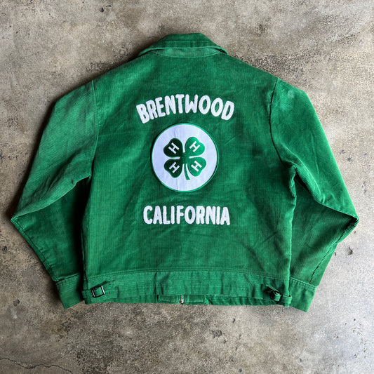 Brentwood CA Cord