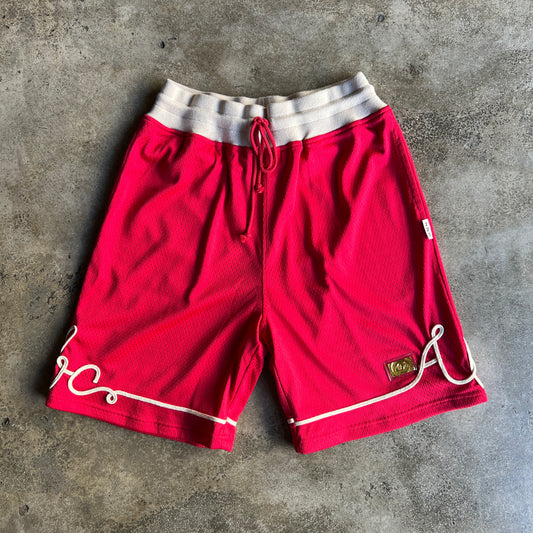 Advisory Board Crystals Shorts