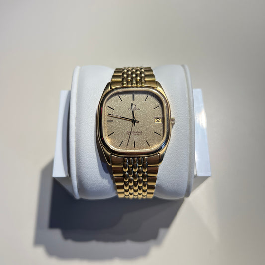Seamaster 1980 Stardust Dial